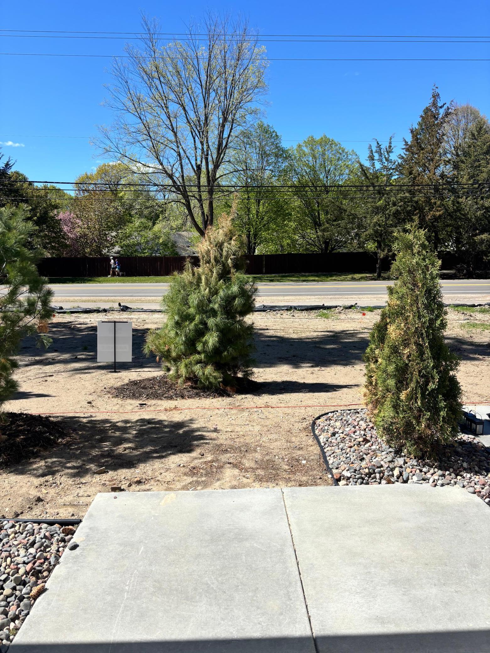 North Facing Patio