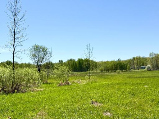 TBD Ivy Rd., Bock, MN 56353