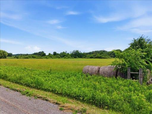 TBD Ivy Rd., Bock, MN 56353