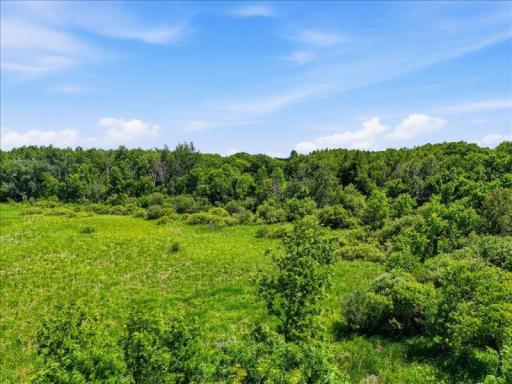 TBD Ivy Rd., Bock, MN 56353