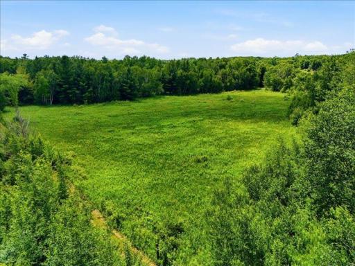 TBD Ivy Rd., Bock, MN 56353