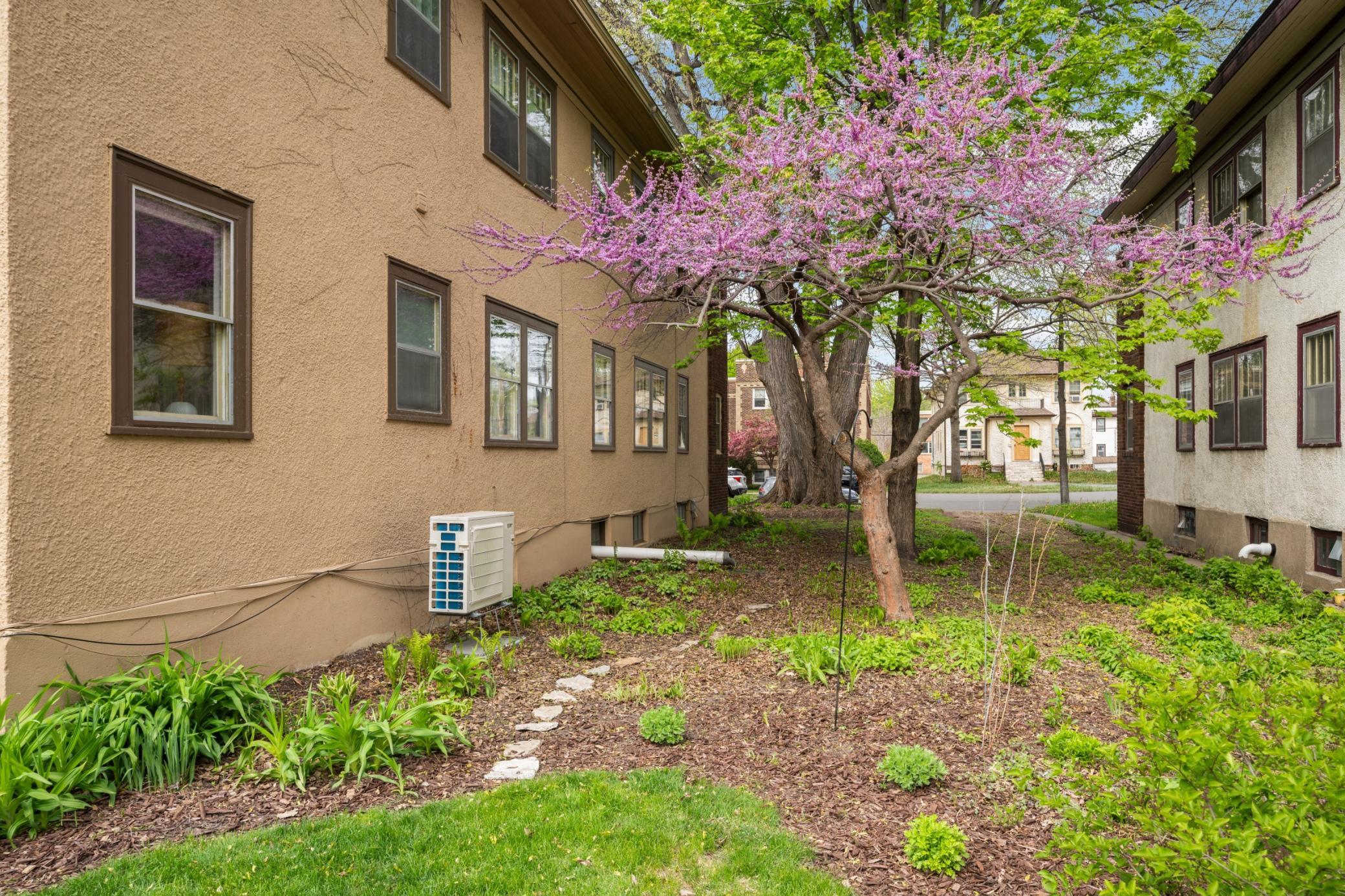 Image-26.jpg