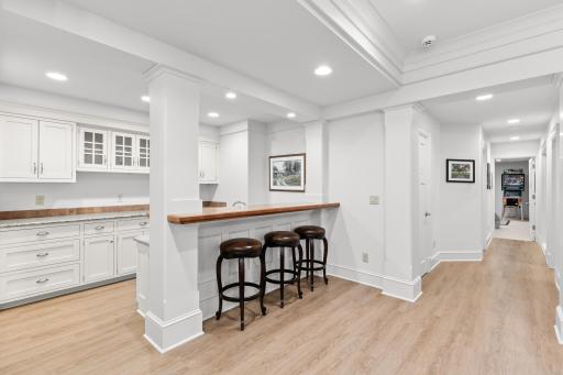 Lower Level Wet Bar