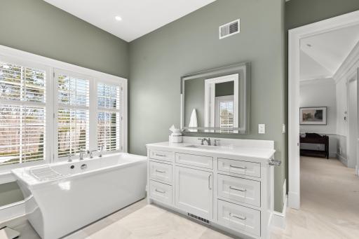 Primary Bath Tub Area