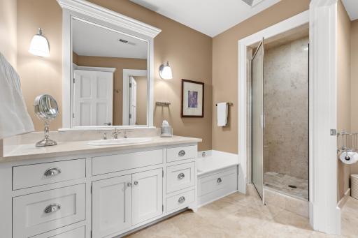 Lower Level Bathroom
