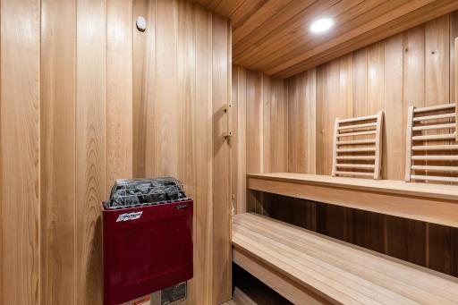 Lower Level Sauna