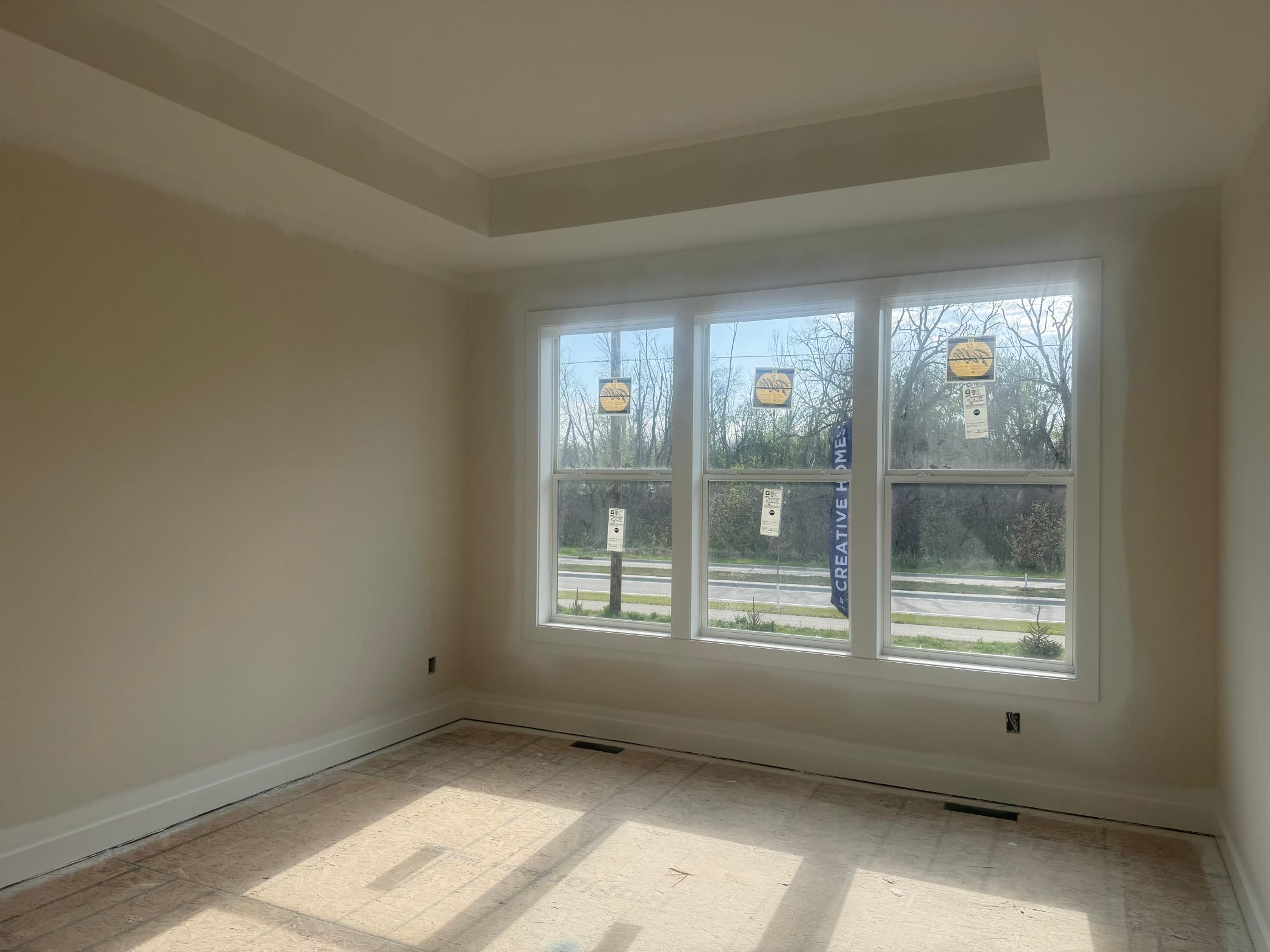 Progress photo of the main primary bedroom with tray vault ceiling