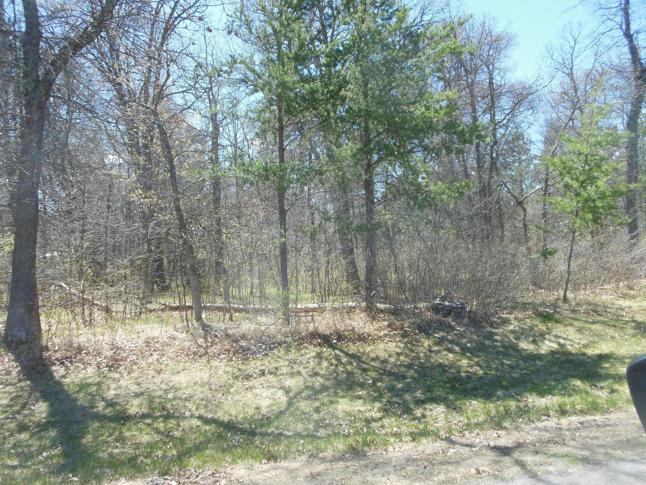 Lot 12
