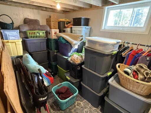 36 Hideaway Storage Space - Lower Level.jpg