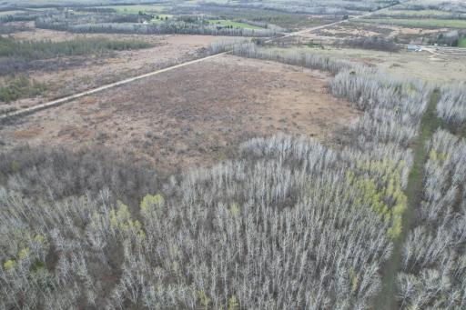 dji_fly_20260509_184438_276_1778370773800_photo.jpg