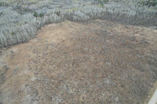 dji_fly_20260509_184242_272_1778370781642_photo.jpg