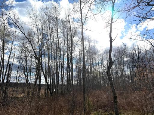 10121 State Hwy 87, Menahga, MN 56464