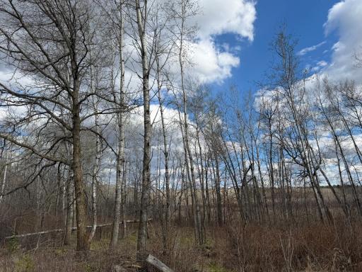 10121 State Hwy 87, Menahga, MN 56464