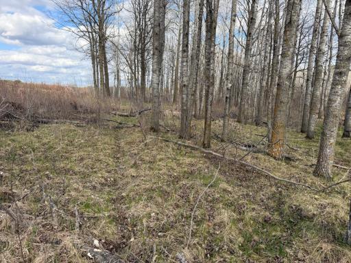 10121 State Hwy 87, Menahga, MN 56464