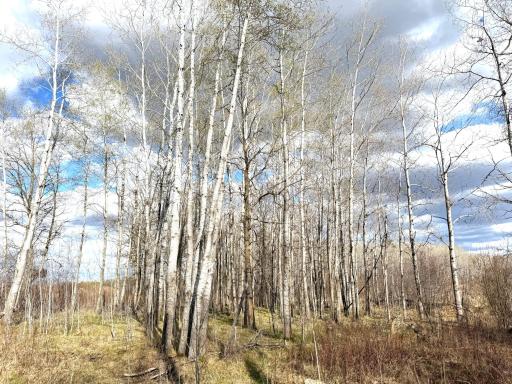 10121 State Hwy 87, Menahga, MN 56464