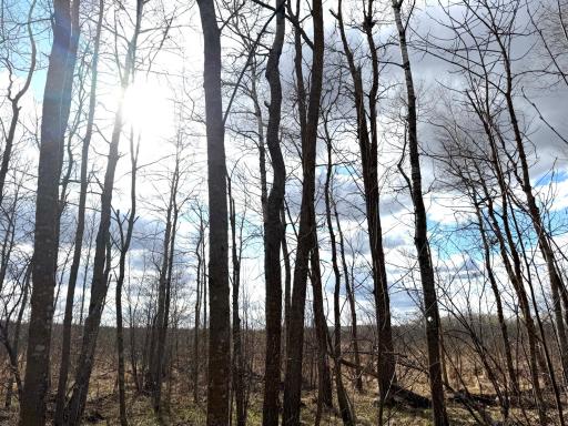 10121 State Hwy 87, Menahga, MN 56464