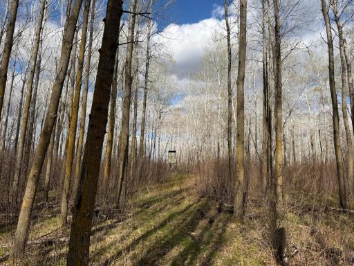 10121 State Hwy 87, Menahga, MN 56464