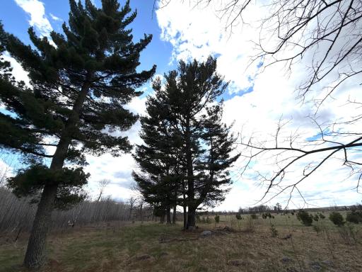 10121 State Hwy 87, Menahga, MN 56464