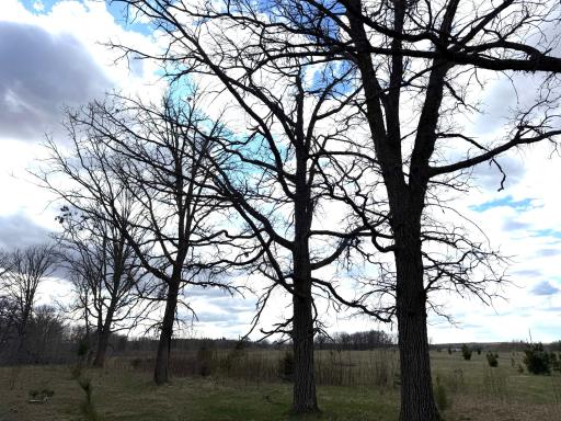 10121 State Hwy 87, Menahga, MN 56464