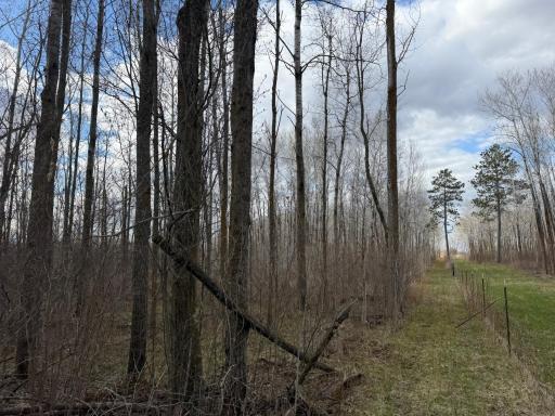 10121 State Hwy 87, Menahga, MN 56464