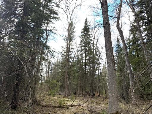 10121 State Hwy 87, Menahga, MN 56464