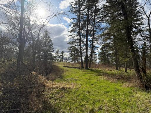 10121 State Hwy 87, Menahga, MN 56464