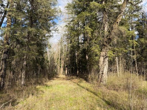 10121 State Hwy 87, Menahga, MN 56464