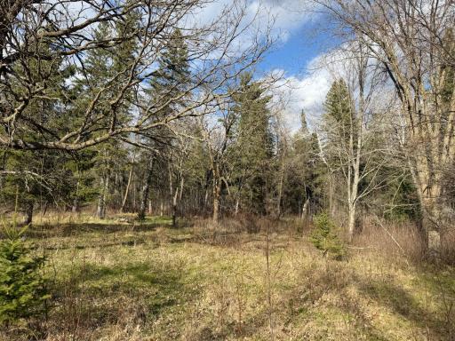 10121 State Hwy 87, Menahga, MN 56464