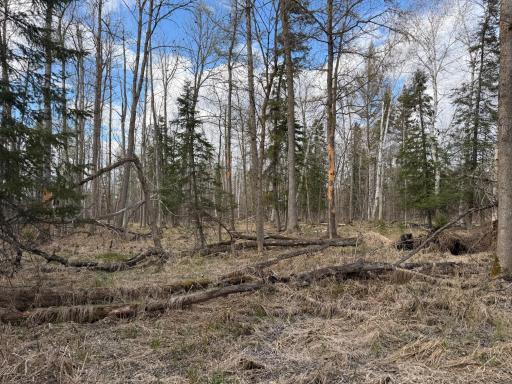 10121 State Hwy 87, Menahga, MN 56464