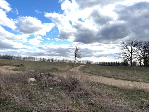 10121 State Hwy 87, Menahga, MN 56464