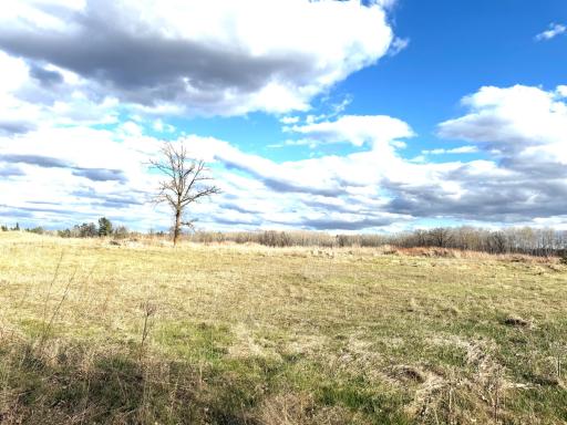 10121 State Hwy 87, Menahga, MN 56464