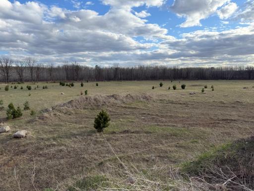 10121 State Hwy 87, Menahga, MN 56464