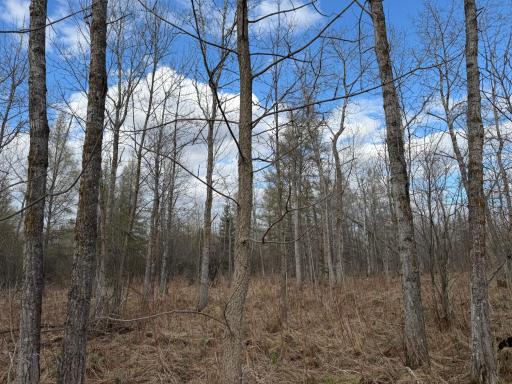 10121 State Hwy 87, Menahga, MN 56464