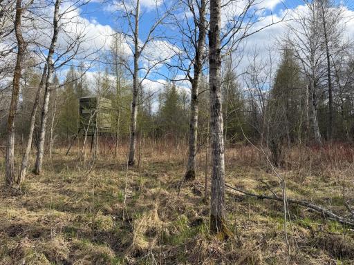 10121 State Hwy 87, Menahga, MN 56464