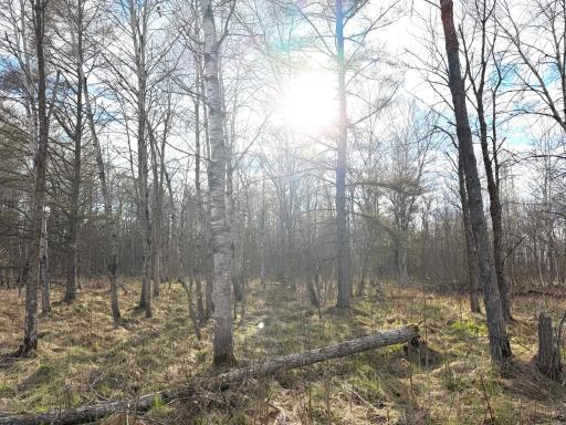 10121 State Hwy 87, Menahga, MN 56464