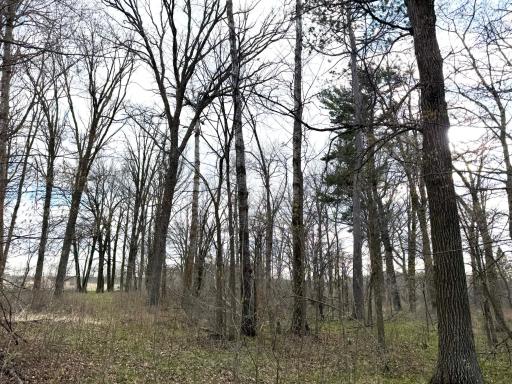 10121 State Hwy 87, Menahga, MN 56464
