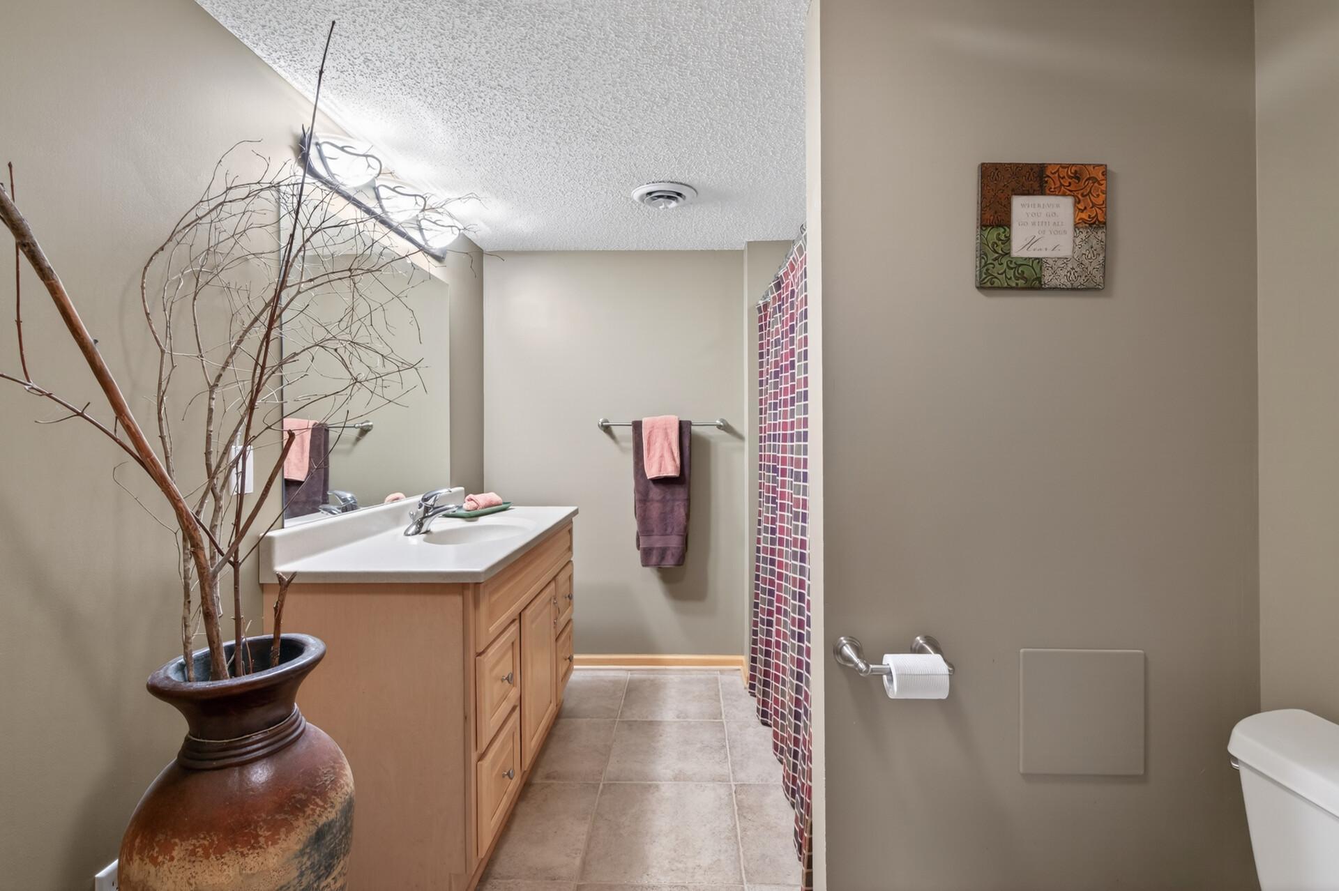 lower level full bath.jpg