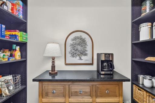 Generously sized closet pantry with pocket door access
