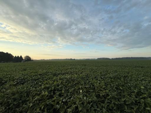TBD 265th Avenue, Belle Plaine, MN 56011