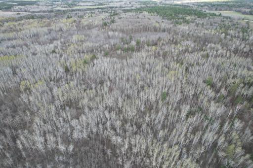 dji_fly_20260509_184350_274_1778370777878_photo.jpg
