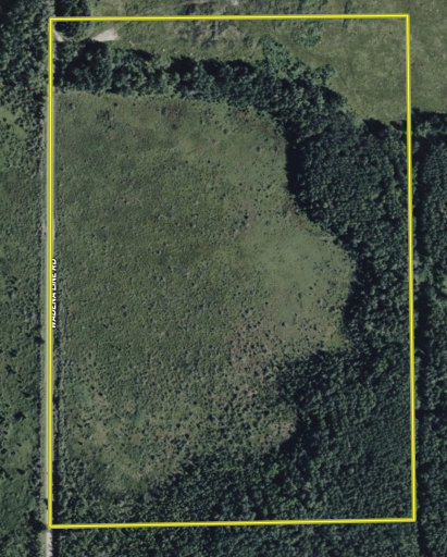 TBD Wadena Line Road, Menahga, MN 56464