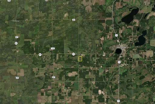TBD Wadena Line Road, Menahga, MN 56464