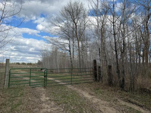 TBD Wadena Line Road, Menahga, MN 56464