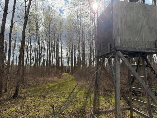 TBD Wadena Line Road, Menahga, MN 56464