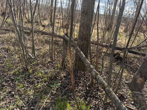 TBD Wadena Line Road, Menahga, MN 56464