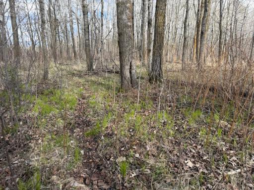 TBD Wadena Line Road, Menahga, MN 56464