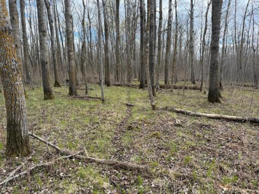 TBD Wadena Line Road, Menahga, MN 56464