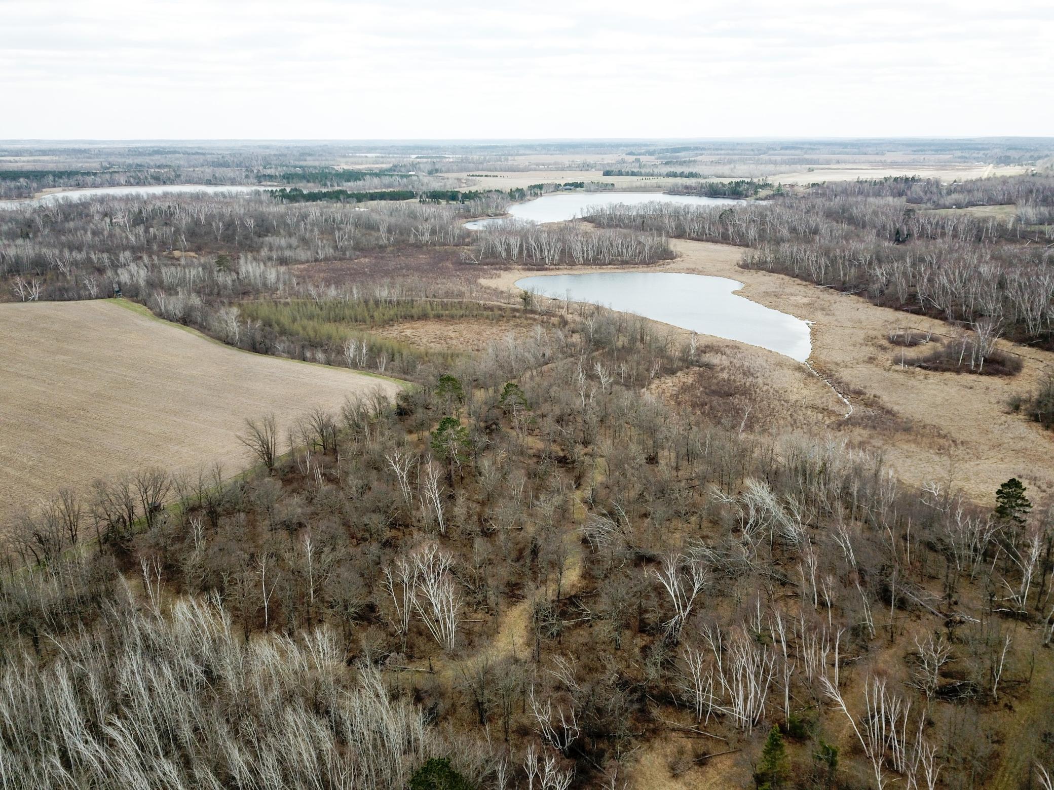 DJI_0131.JPG