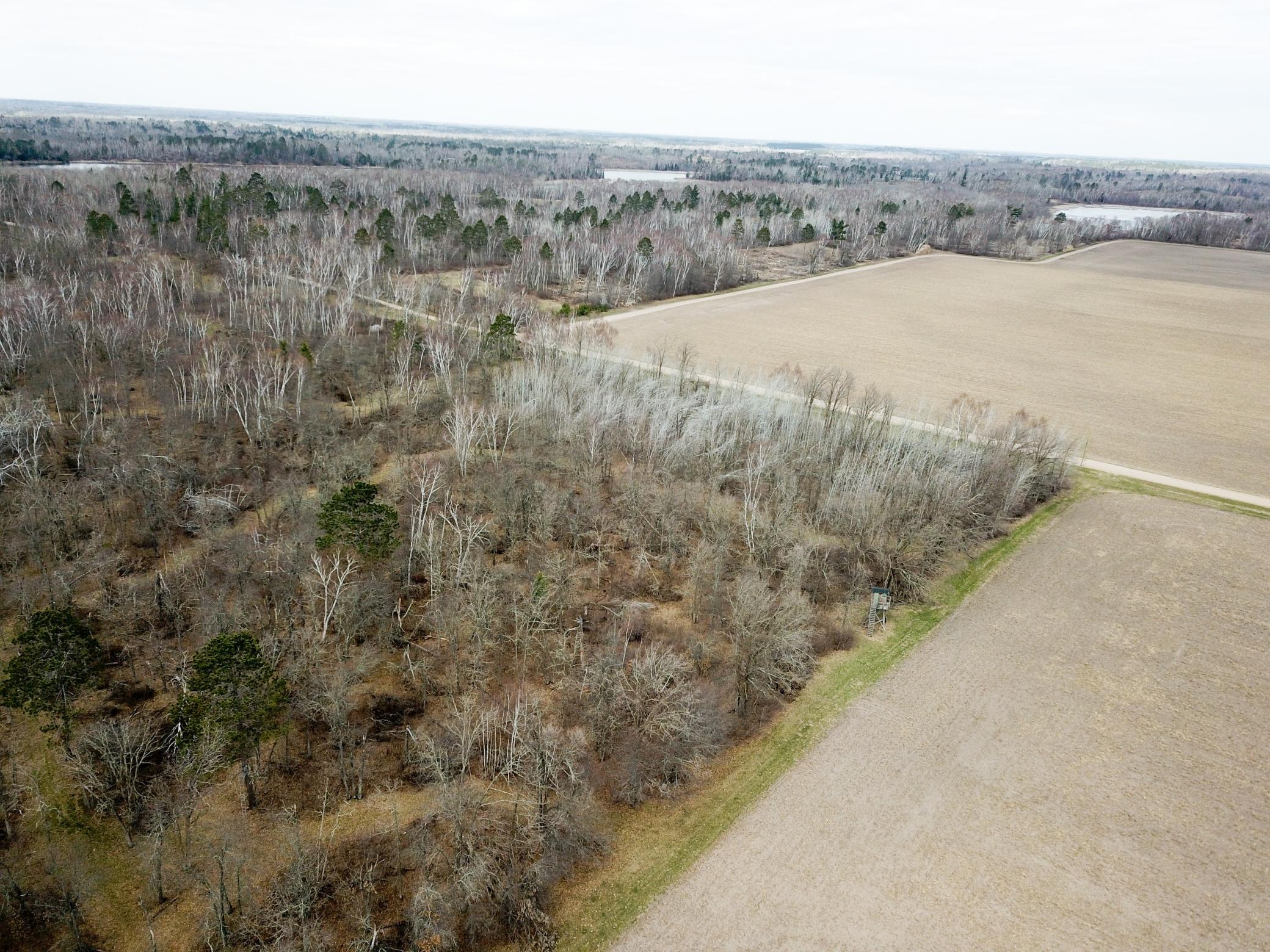 DJI_0147.JPG