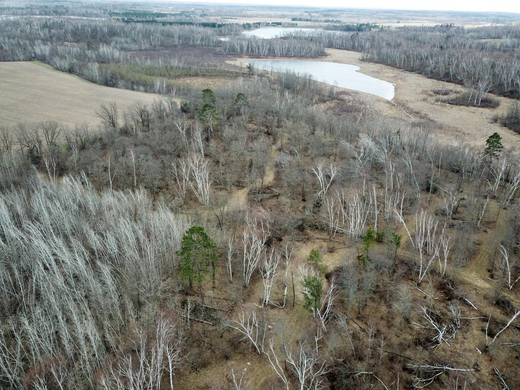 DJI_0133.JPG